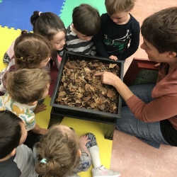 Herbal Hearth IMG 31971772077684 (1)